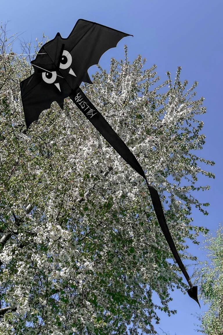 Killstar Dragon Bat – Bild 3