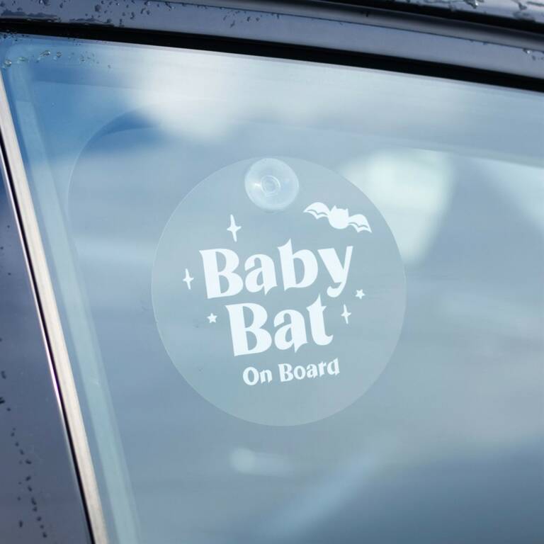 Spirit of Equinox Fensterschild Baby Bat on Board – Bild 2