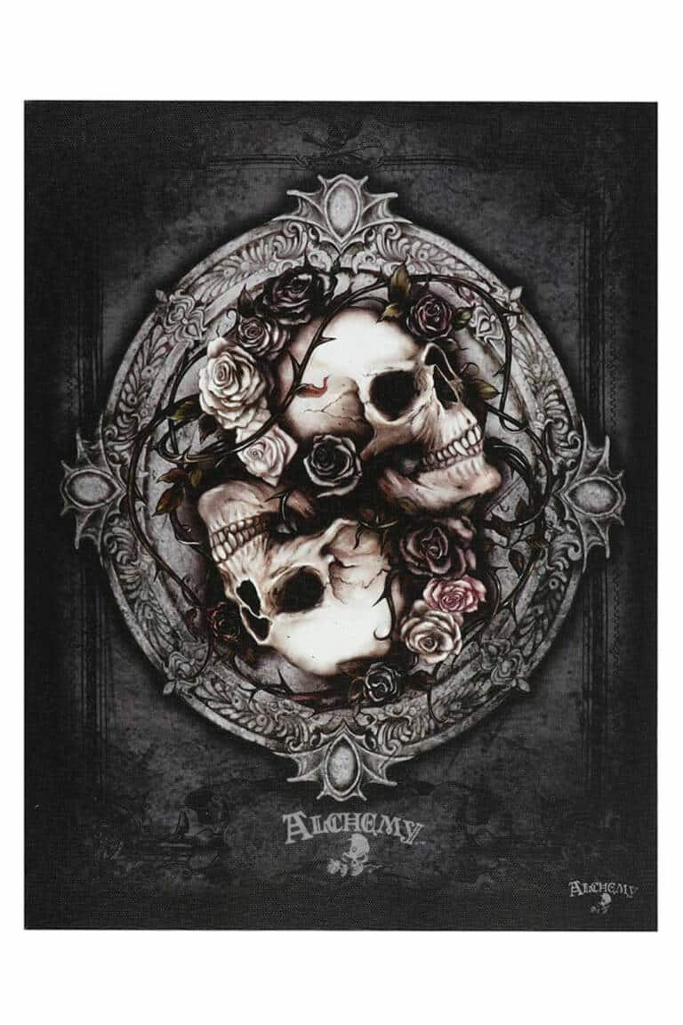 Alchemy Wandbild Disoscuri