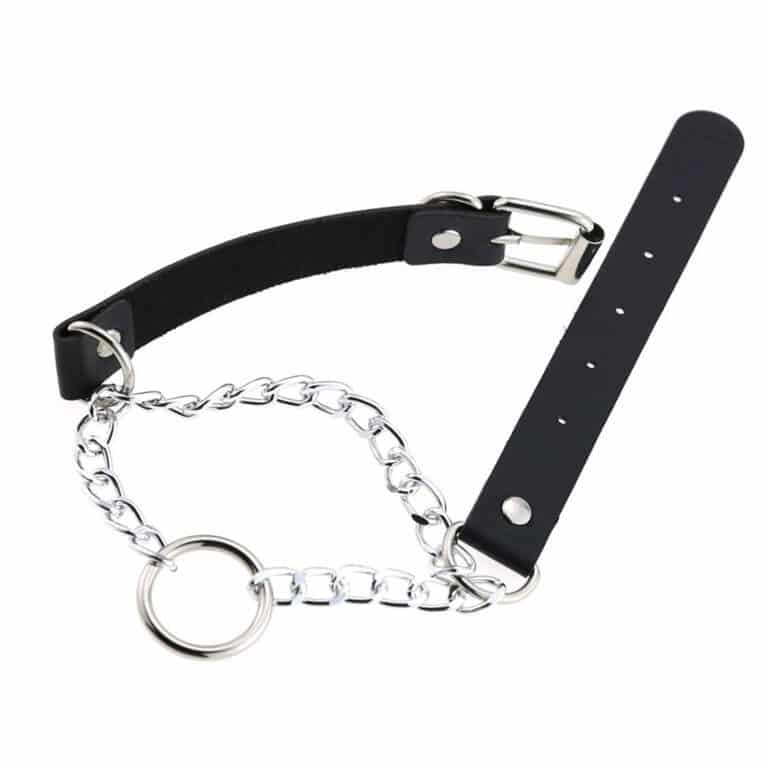 Moon Attic Choker Ring of Steel