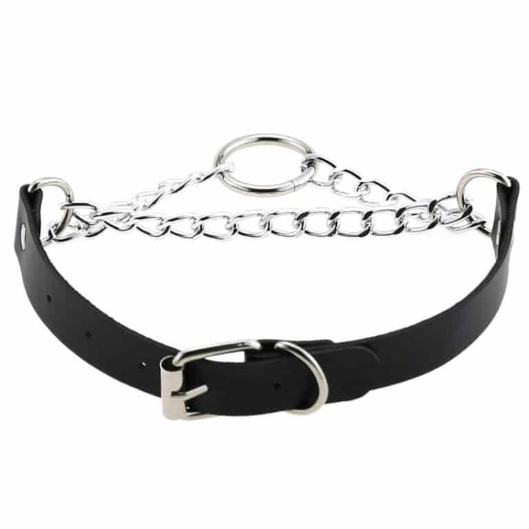 Moon Attic Choker Ring of Steel – Bild 5