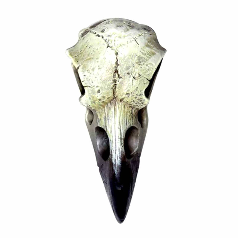 Alchemy Anhänger Raven Skull