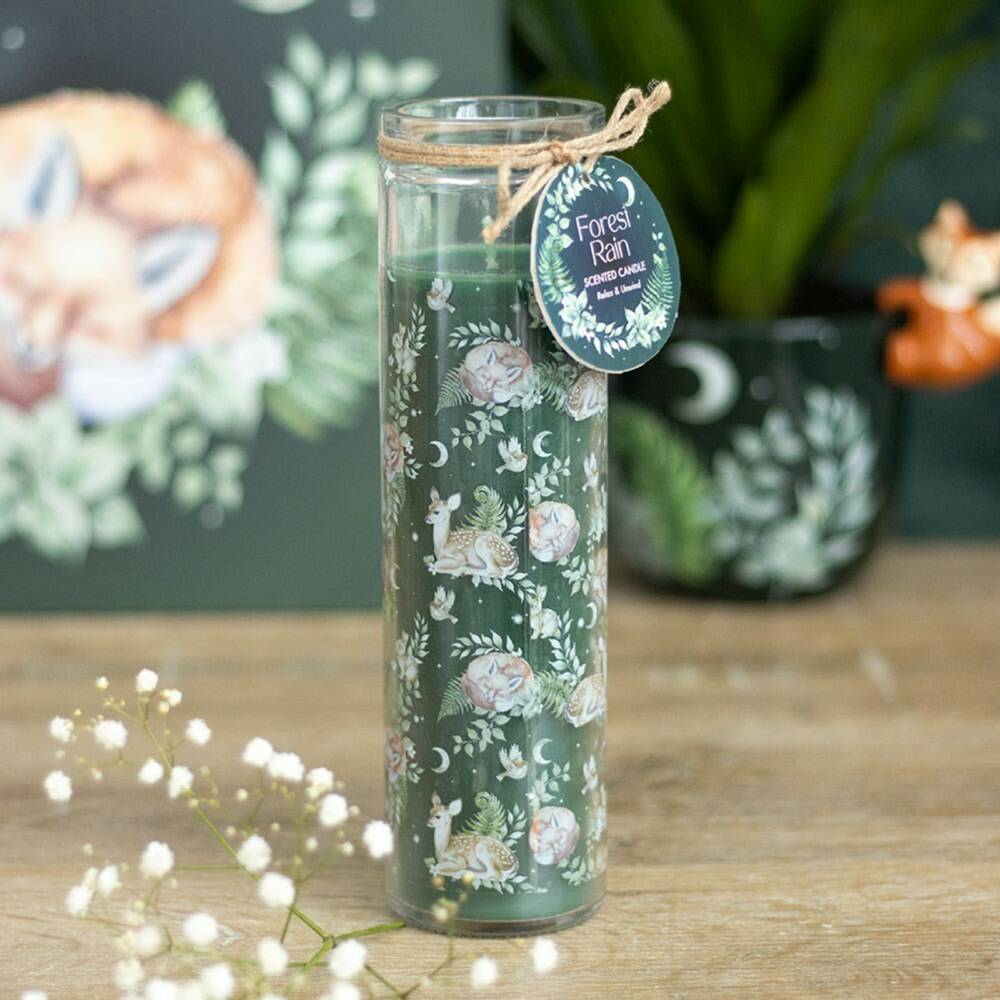 Spirit of Equinox Kerze Forest Rain – Bild 4