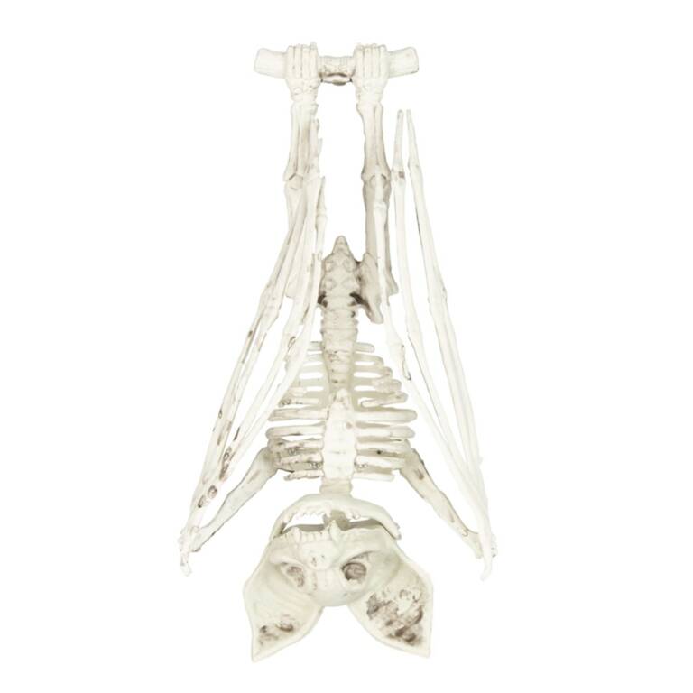 Mad Moonshine decorative item bat skeleton