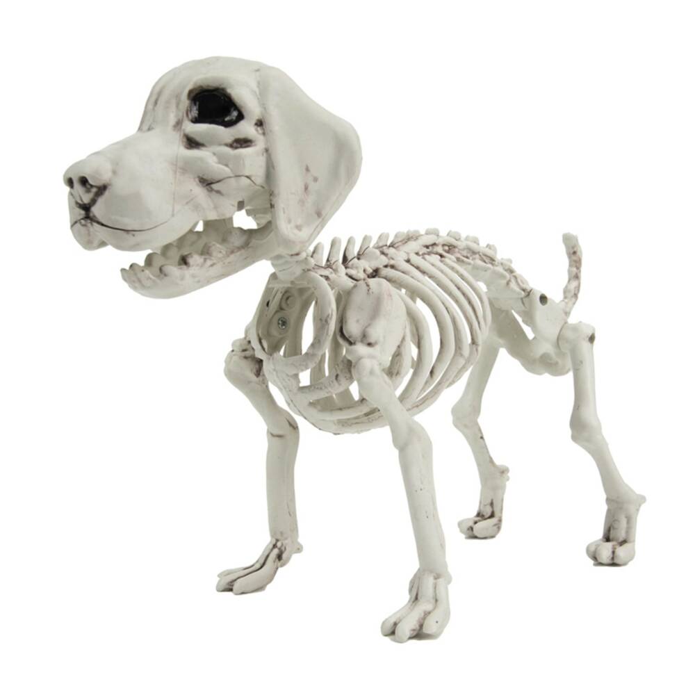 Mad Moonshine Deko-Artikel Hunde-Skelett