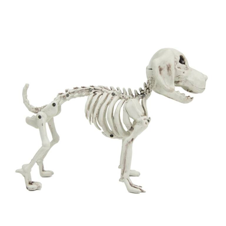 Mad Moonshine Deko-Artikel Hunde-Skelett – Bild 2